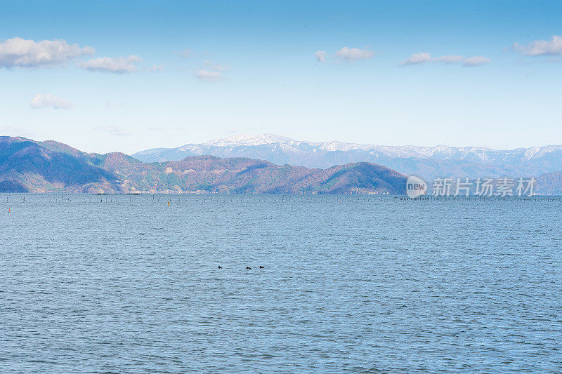 日本镰仓美丽的海滩海景，背景是萨拉米湾。