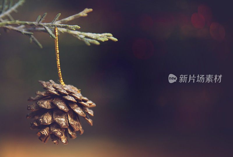 祝你新年快乐。写你的信息。