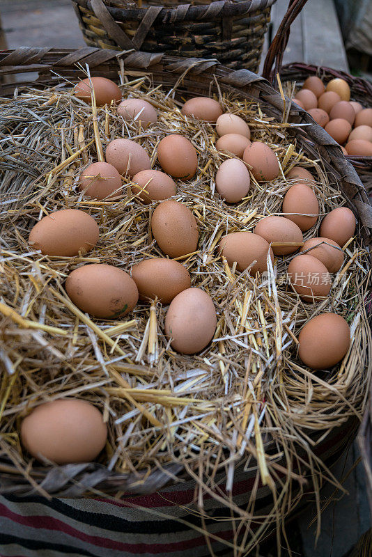 稻草篮子里的有机新鲜农场鸡蛋