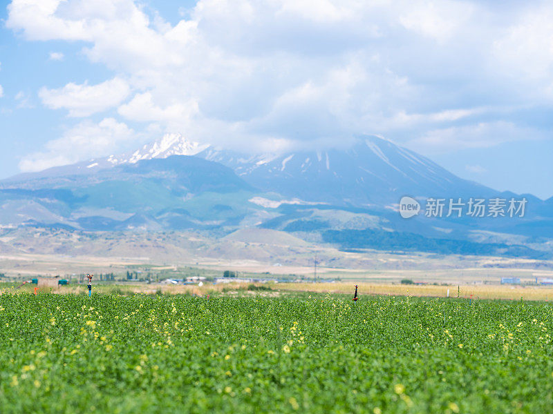 农田和滴灌系统以山区为背景