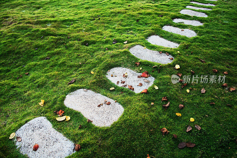 绿色草坪上的石头小路