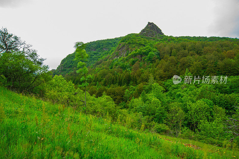 斯塔拉平原老山的绿草地