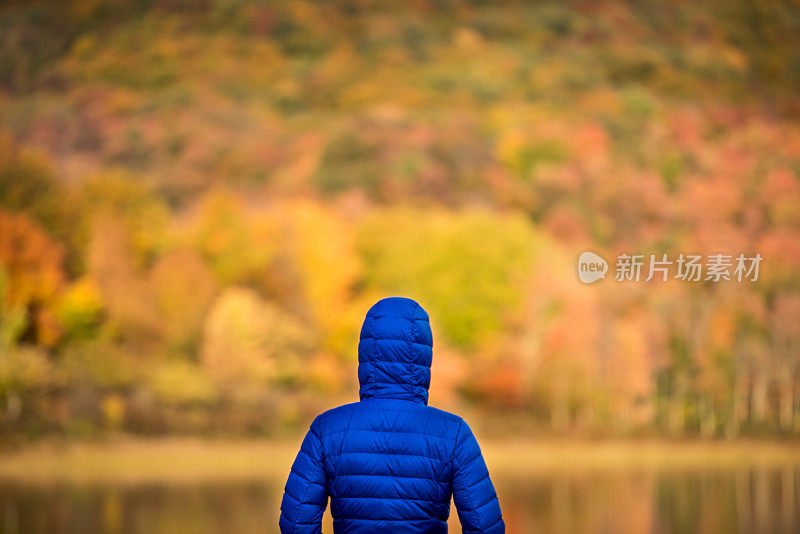 《秋景中的少女》。