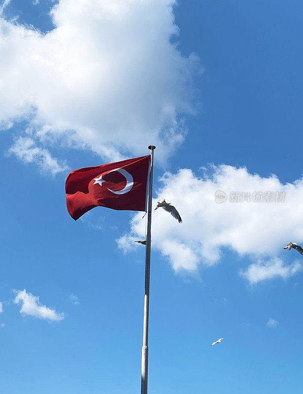 土耳其国旗挥舞着