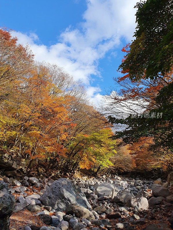 韩国济州岛的秋季景观