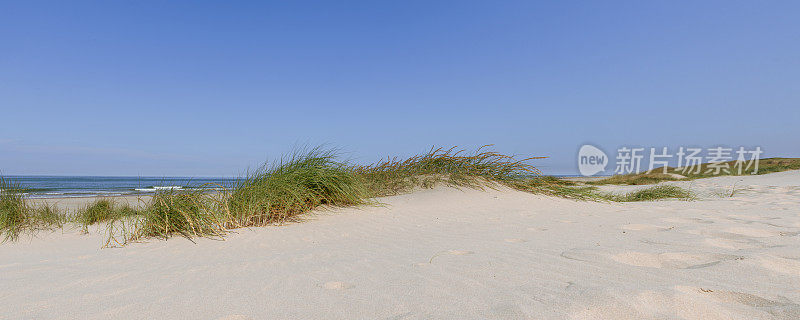 在一个美丽的夏日，沙滩上的沙丘和沙滩草