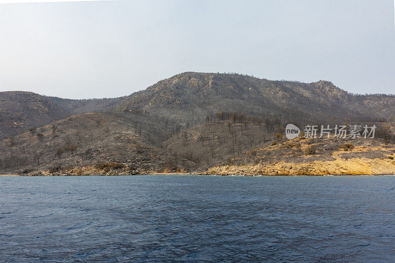 海岸森林大火之后