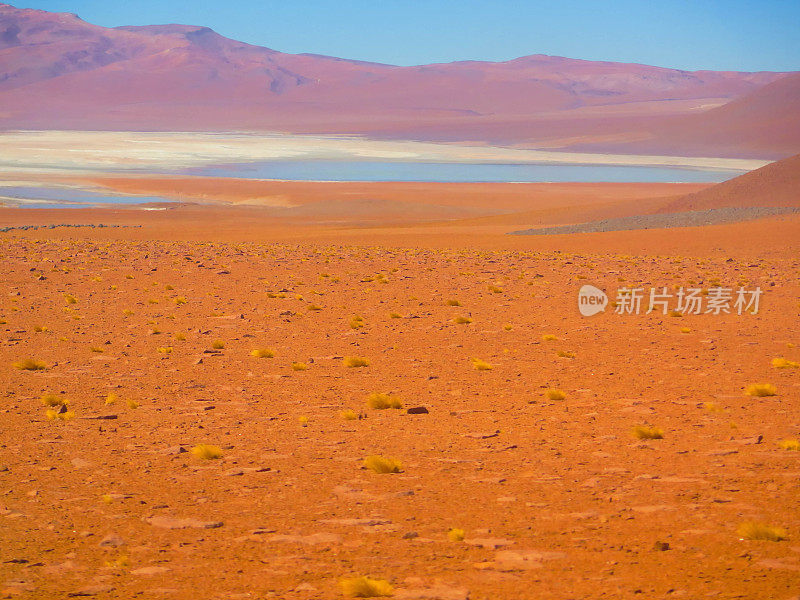 阿尔蒂普拉诺高原景观