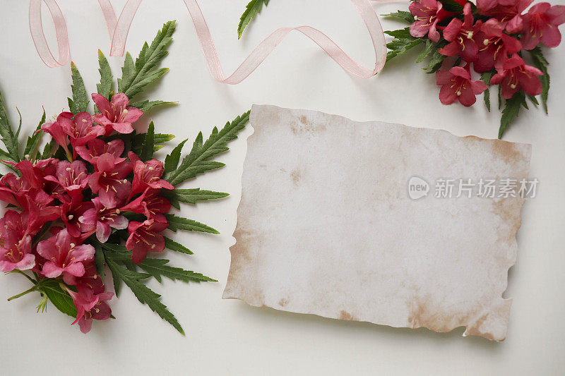 明信片模型。由粉红色的花和信封组成