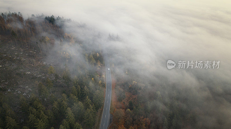 雾笼罩着陶诺斯山脉，森林被砍伐的地区和道路