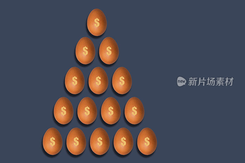 投资增长概念与鸡蛋和美元符号