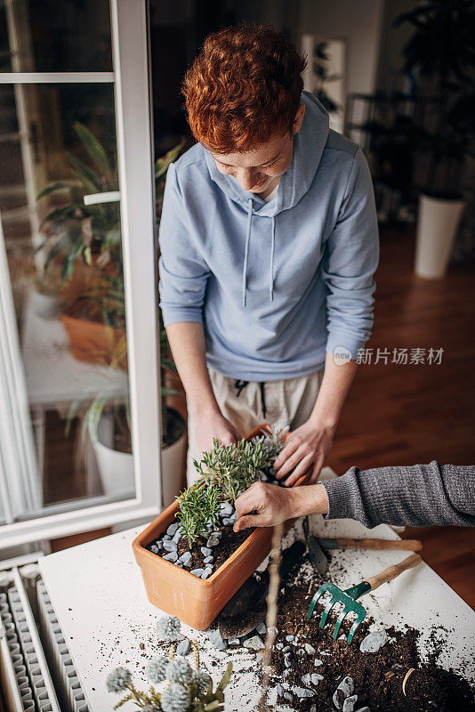 红发少年在家里种植室内植物