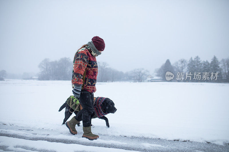 下雪天在乡间小路上遛狗