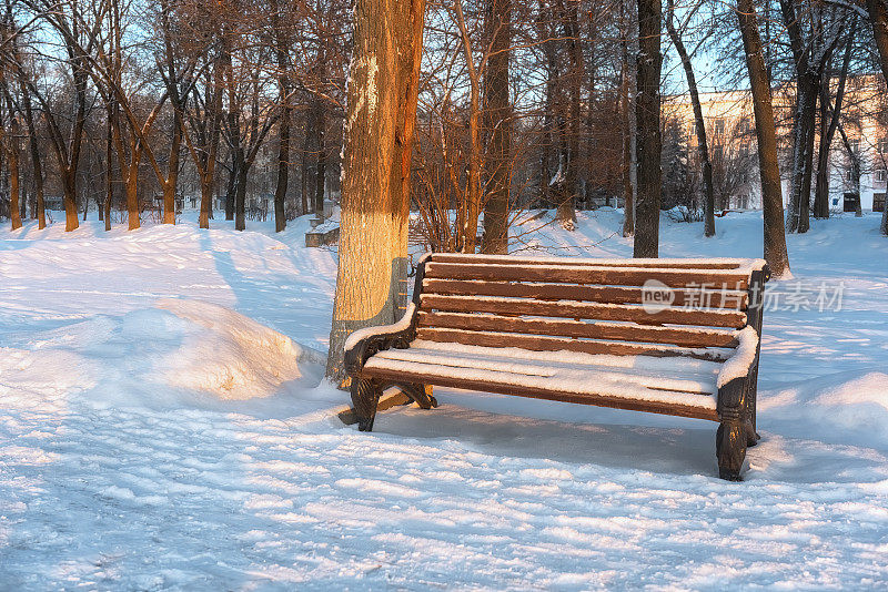 公园里的长椅上盖满了雪。早晨的阳光洒在树木和雪地上。