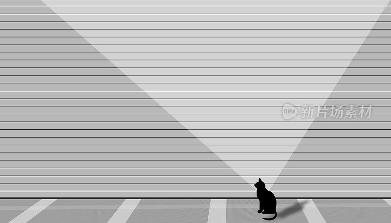 广角街景拍摄一只猫坐在马路上，空旷的马路上有一只猫，概念孤独。高分辨率的资产。
