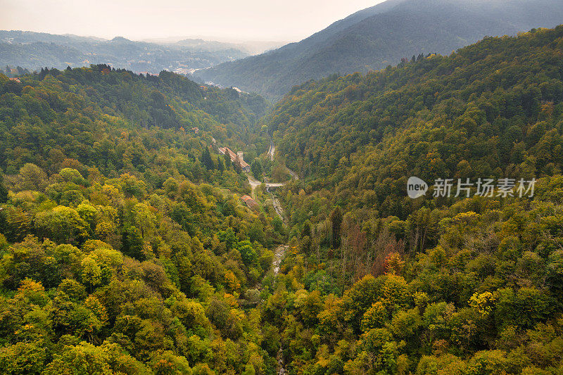 比耶勒斯阿尔卑斯山的树叶