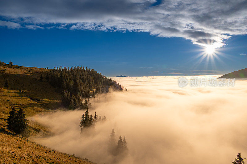 秋天的风景