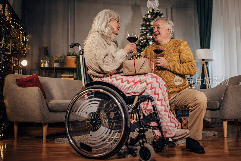 老夫妇在家里的圣诞树旁喝酒的肖像
