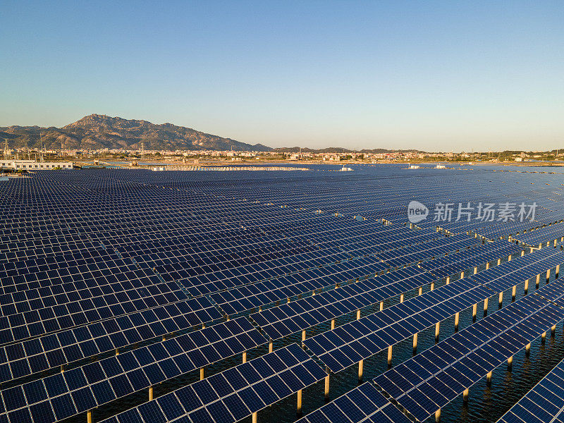 有序的沿海光伏太阳能电池板鸟瞰图