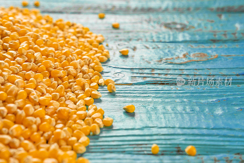玉米种子。一堆未加工的玉米粒在蓝色的木质朴的桌子上转动。畜牧业的概念。黄色玉米，玉米，颗粒饱满。前视图。有机生产。美食视频背景。