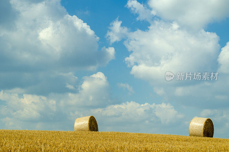 夏天收获的田里的圆捆稻草