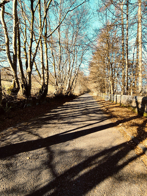 空旷的乡村道路与树木在气球格拉斯哥苏格兰英国