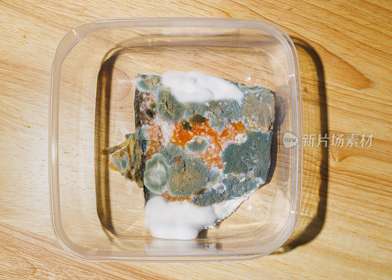浪费食物。桌上的塑料午餐盒里有发霉的变质三文鱼。