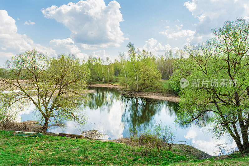 从山上看河的景色。春天的风景，池塘岸边的藤蔓树和年轻的绿色植物