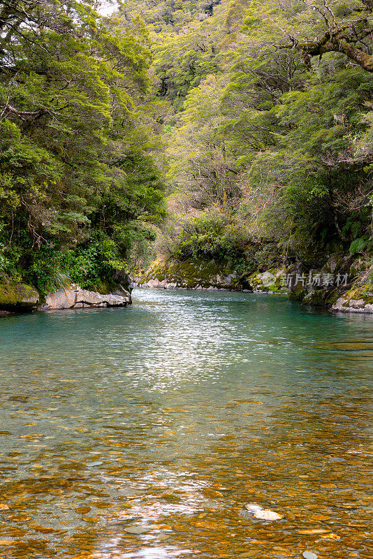 新西兰哈斯特帕斯河风景区