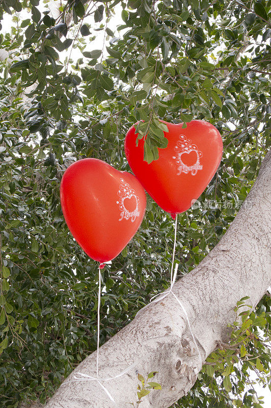 拴在树上的红色爱心气球