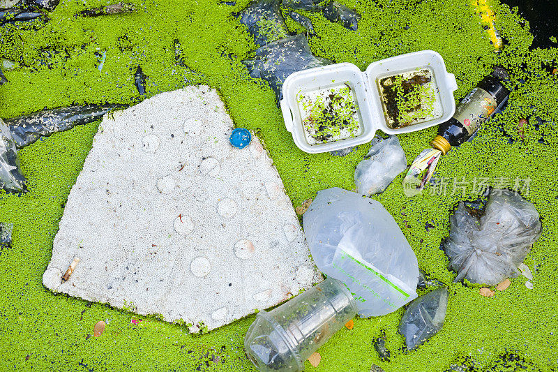 塑料污染了曼谷的小运河