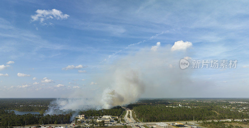 鸟瞰图:佛罗里达州北港市严重燃烧的野火。旱季发生在丛林中的自然灾害