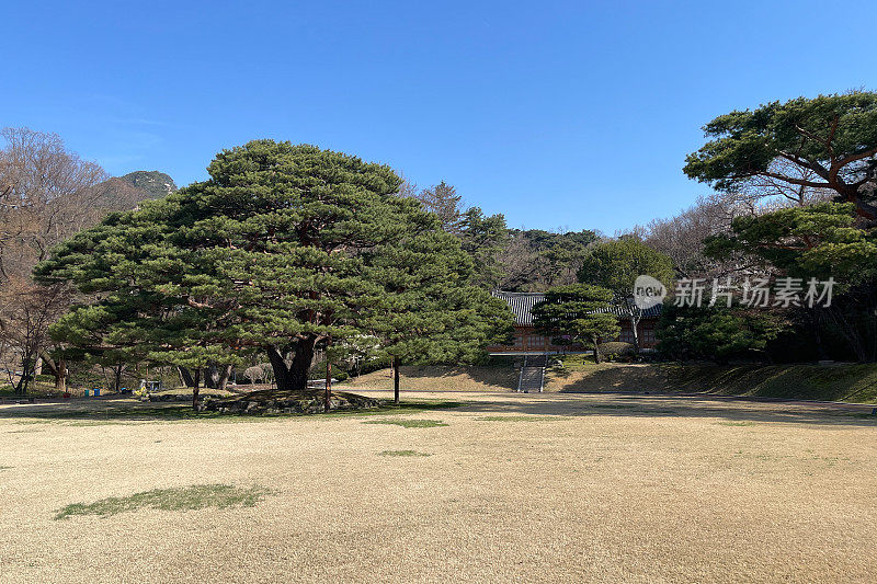 4月首尔