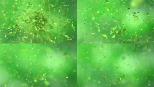 绿色叶子爆炸4K高清在线视频素材下载