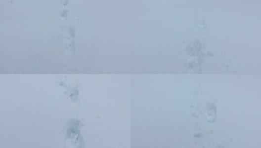 沿着积雪覆盖的道路行走，雪地上有脚印高清在线视频素材下载