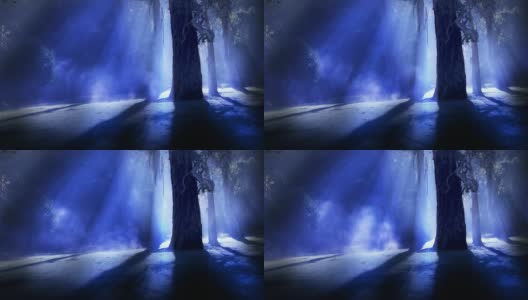 蓝色雾森林高清在线视频素材下载