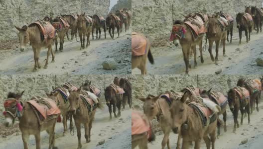驴子在尼泊尔的山路上驮着很多东西。高清在线视频素材下载
