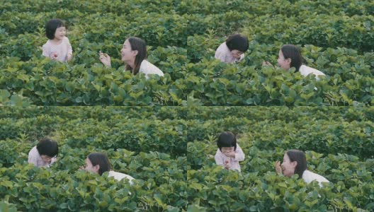 亚洲小女孩吃新鲜采摘的草莓高清在线视频素材下载