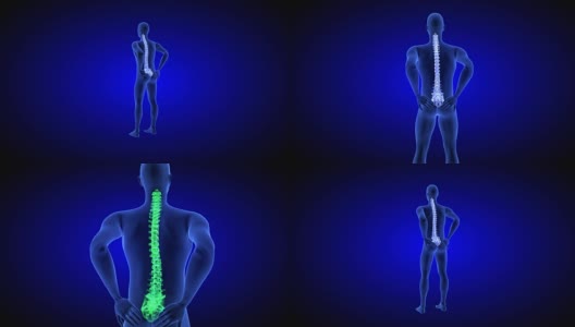 健康的脊椎。脊椎疼痛。健康蓝色人体解剖身体3D扫描渲染在蓝色背景高清在线视频素材下载