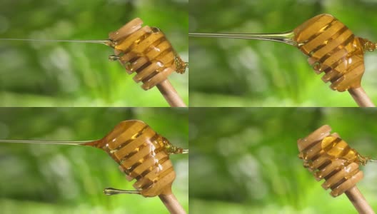 (慢动作和垂直)蜂蜜从一个木制的蜂蜜勺流出高清在线视频素材下载