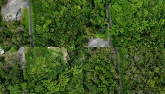 途经热带常绿森林或热带雨林，鸟瞰空旷的常绿森林中的道路高清在线视频素材下载