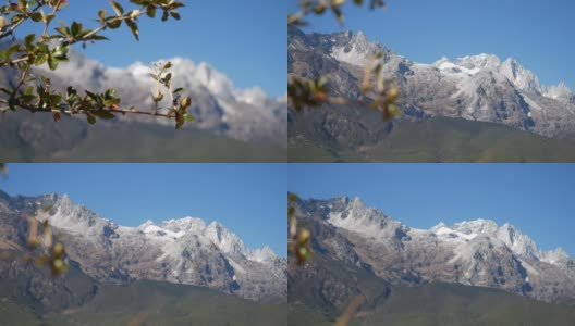 雪峰山与蓝天的背后的树枝高清在线视频素材下载
