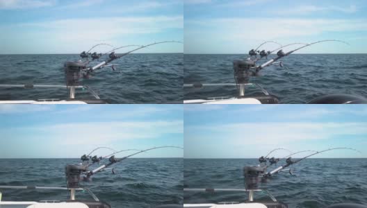 钓鱼用的钓竿高清在线视频素材下载