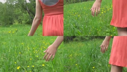 草地草地近距离全景慢镜头使用稳定器。摄像机的运动高清在线视频素材下载