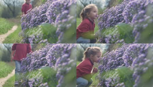 少女用一只手抚摸着朝露的花朵高清在线视频素材下载
