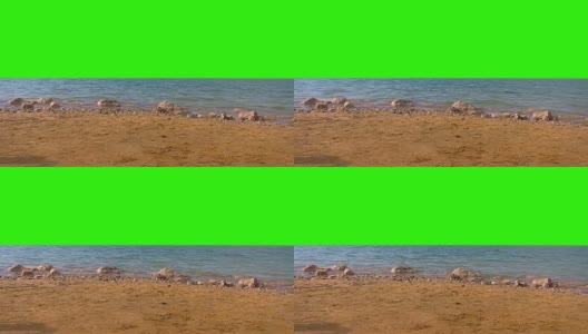 死海和海岸在一个绿色屏幕背景高清在线视频素材下载