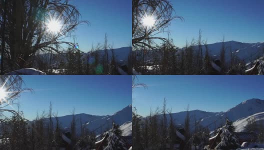 一个小村庄里结霜的树木高清在线视频素材下载