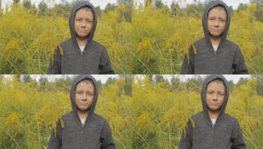 一个男孩在高高的草丛里，穿着灰色的毛衣，头上戴着兜帽高清在线视频素材下载