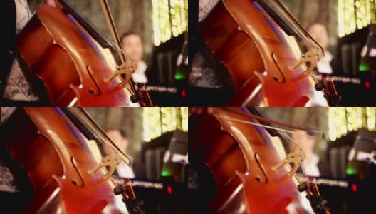 婚礼上大提琴手演奏大提琴。高清在线视频素材下载