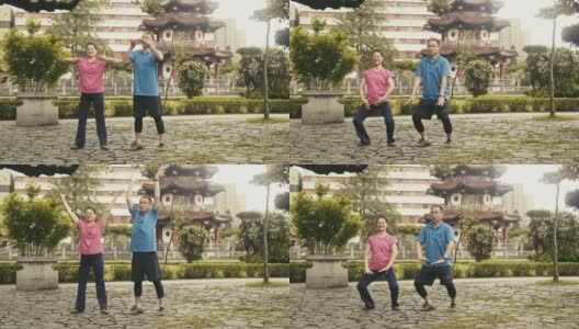 两个活跃的中国老年人在公园里打太极高清在线视频素材下载